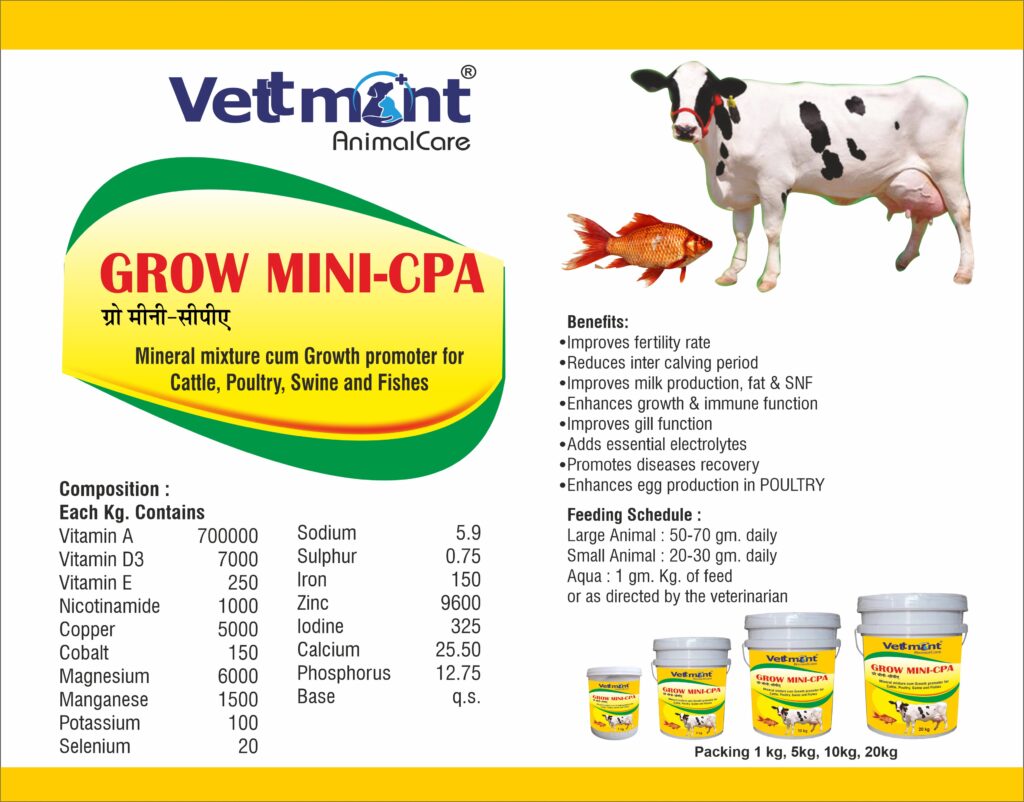 Grow Mini CPA